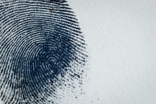 Black and white image of a fingerprint